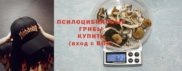 spice Аркадак