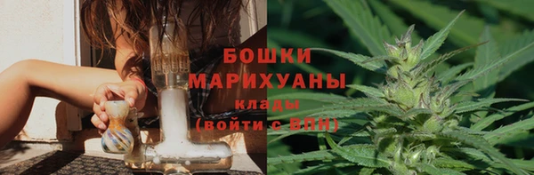 spice Аркадак