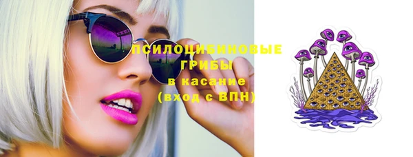 прущая мука Арсеньев