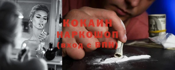 прущая мука Арсеньев