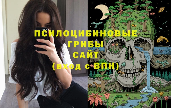 шишки Армянск