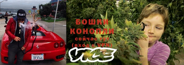 шишки Армянск