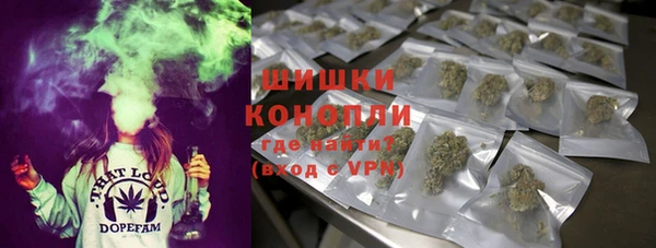 шишки Армянск