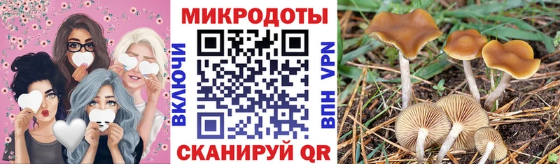 купить наркотики цена  Сорочинск  Галлюциногенные грибы Cubensis 